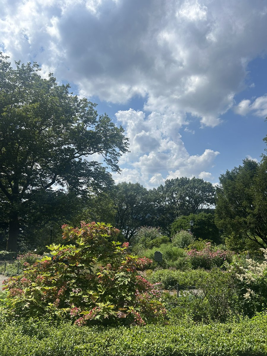 Julia Black tweet media