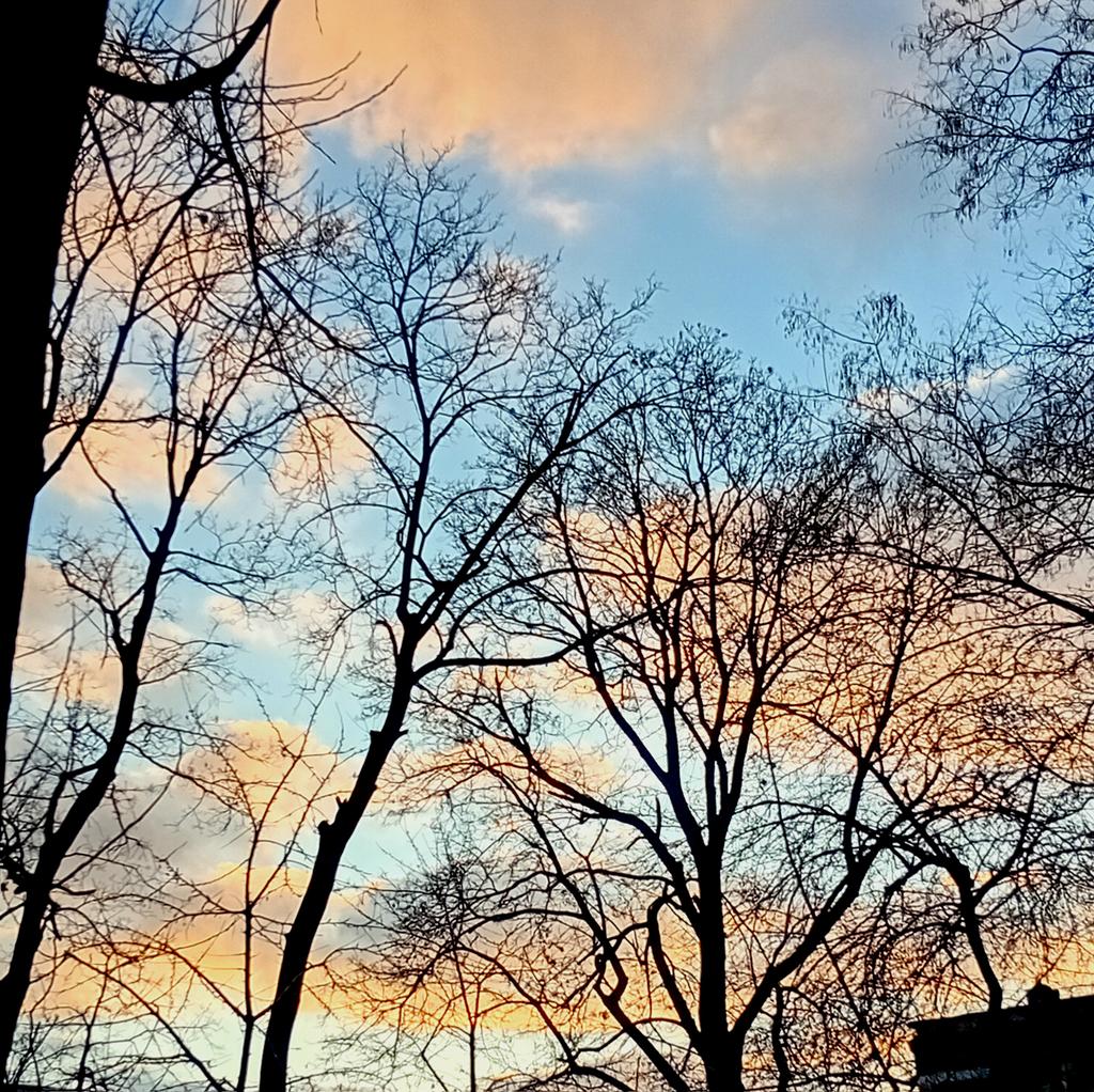 Катерина Галич tweet media