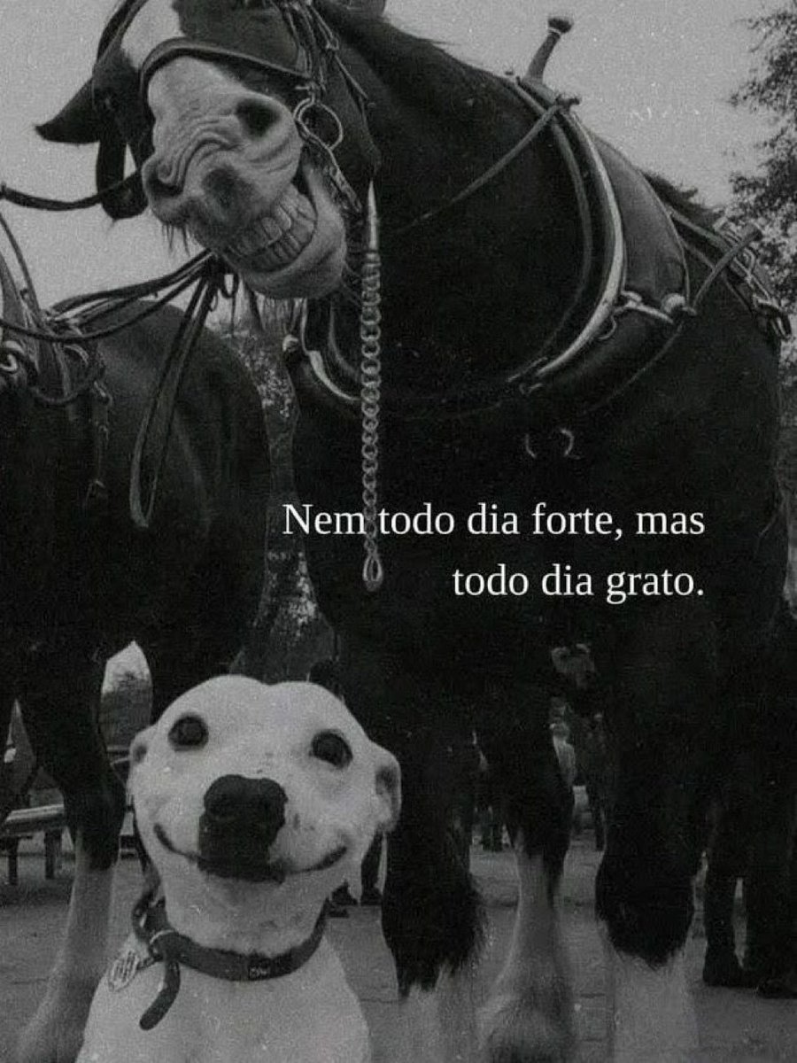 lembranças (@soulembrancas) on Twitter photo 