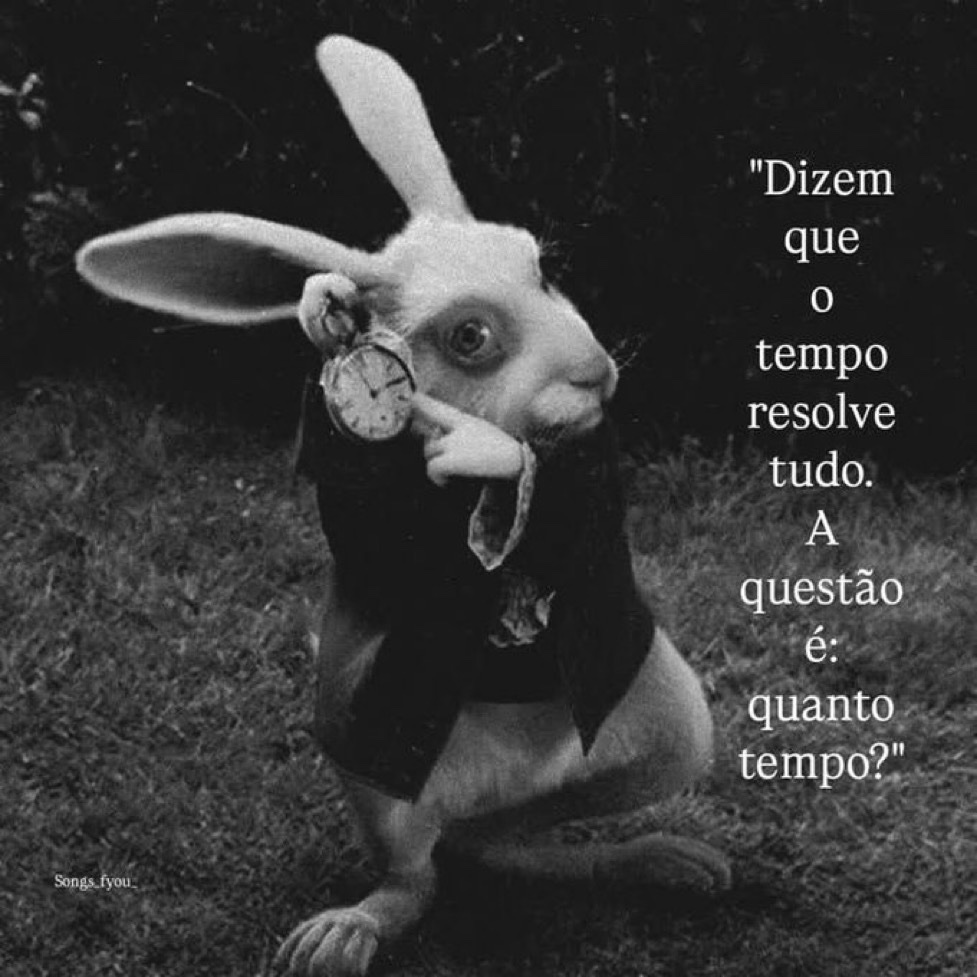 soulembrancas's tweet image. 