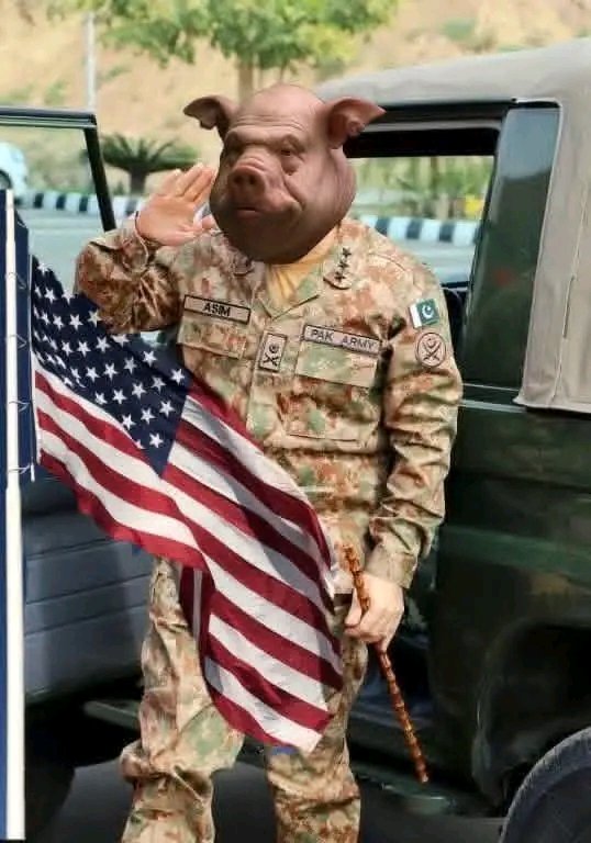 BabaG512's tweet image. اے حاکم وقت تیرے کردار ہے لعنت۔۔🤚
تیری ذات پر لعنت ۔۔۔ 🤚
تیری نسل پر لعنت ۔۔۔🤚
تیری حکومت پر لعنت۔۔🤚
تیرے پیروکار پر لعنت🤚
🤚🤚🤚🤚