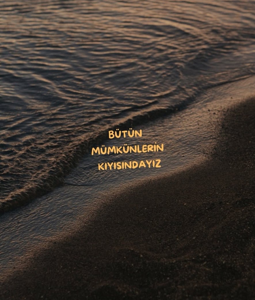 Ardıç Kuşu (@ardiskusu) on Twitter photo 