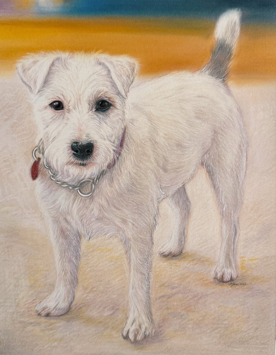✏️ ’Tis the season to gift something special. Drew this for my neighbour, in memory of her dog 🐾

#DogArt #PetPortrait #JackRussellTerrier #DogsofTwitter #AnimalArt #ArtistOnTwitter #illustration #drawing