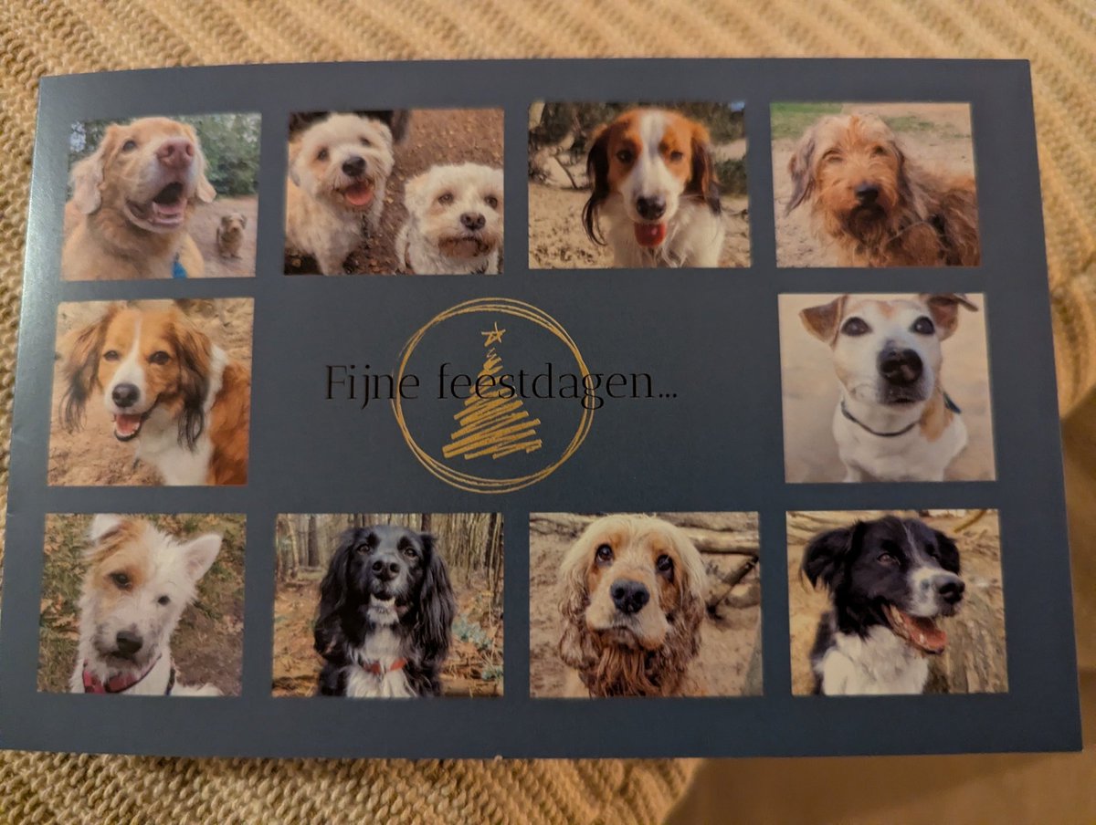 Ik ben zelf echt een ramp met kerstkaarten. Dit jaar voel ik me daar extra schuldig over, want ten eerste krijg ik er meer dan anders (niet gek, ik stuur ze zelf niet) de kaart van de uitlaatservice, inclusief ed, is echt zo leuk!