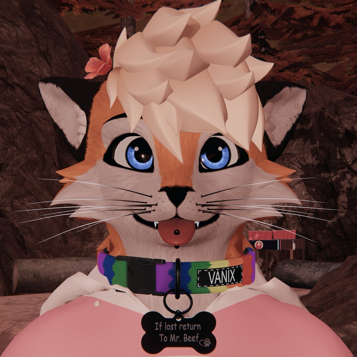 VanixTheFox's tweet photo. This is the face of someone you can trust :3 https://t.co/xfsG9Butkb