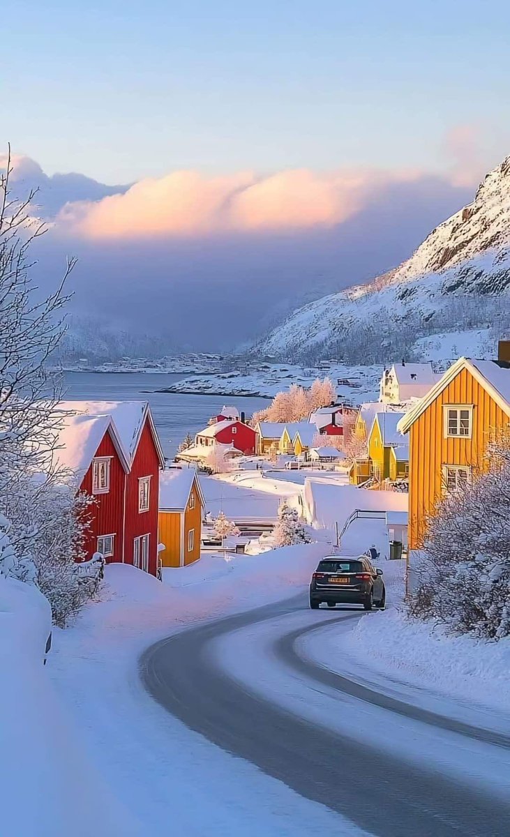 moraimauy's tweet image. Lofoten Islands 

                                   #Norway
