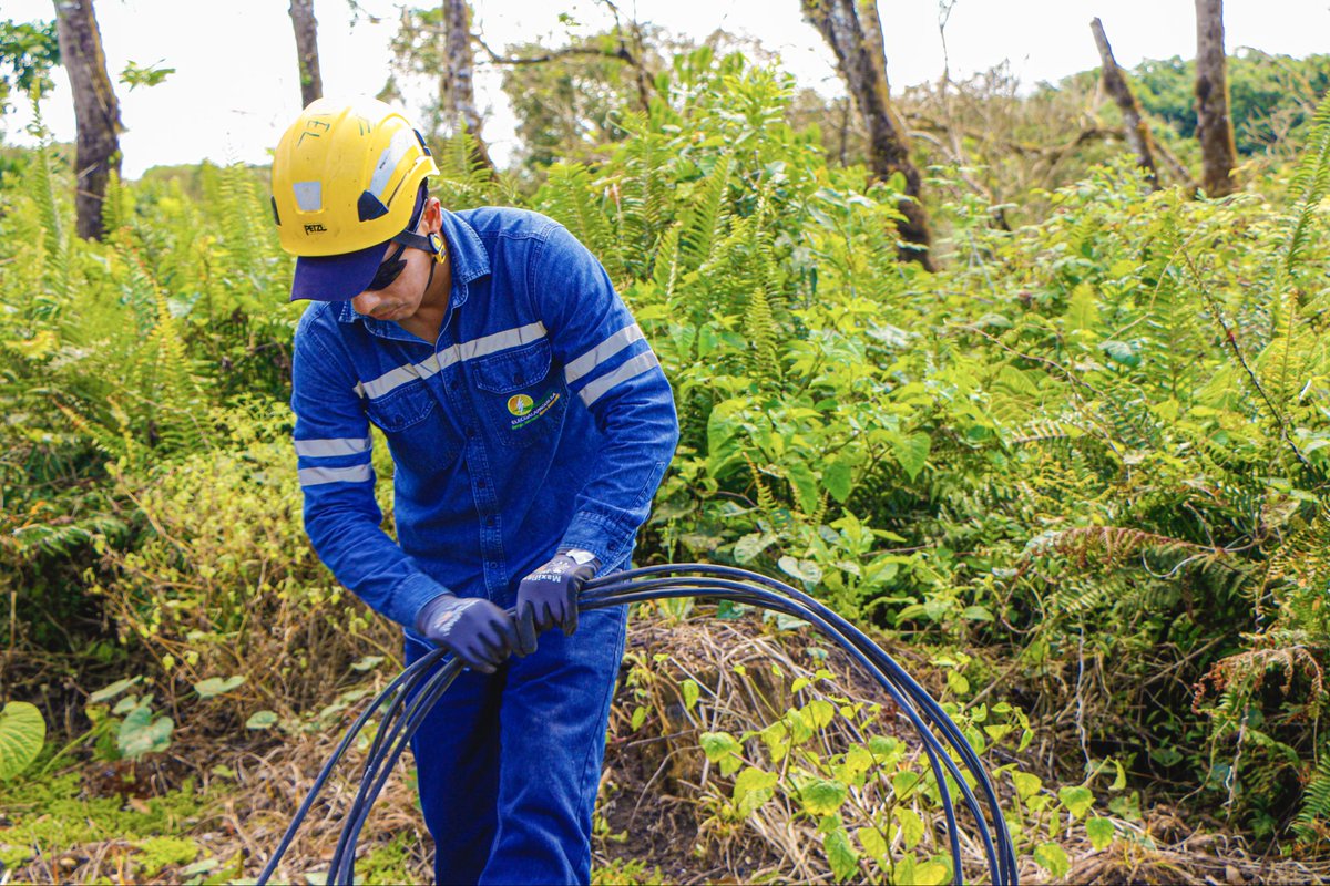 ⚡🇪🇨 En la zona rural del cantón Isabela, ejecutamos el reemplazo de red de baja tensión desnuda por preensamblada, mejorando la seguridad y el impacto visual del sistema eléctrico.

🔌✨ Energía que cuida el territorio

#ElNuevoEcuadorImpulsa