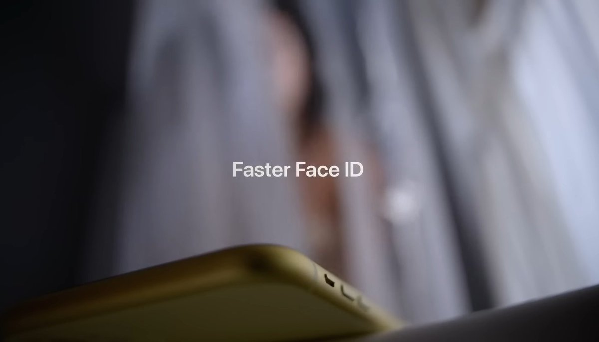 Noah Cat tweet media