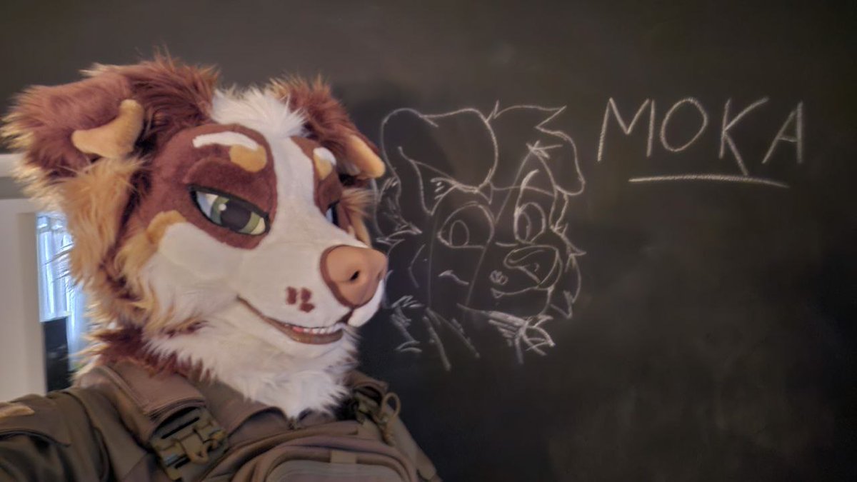 Coffee Addicted Dog tweet media