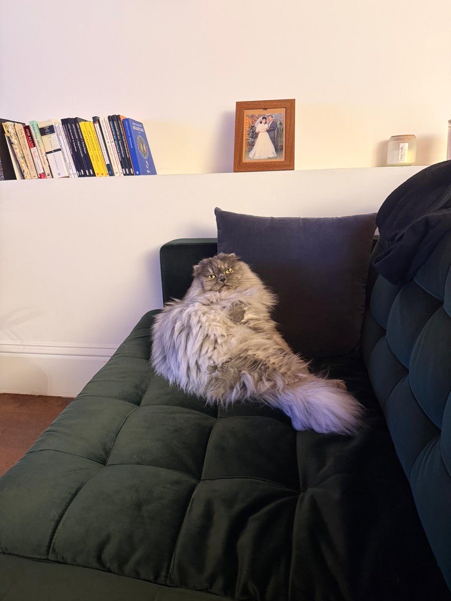 İyi bir yıl geçirdiysen gülümse.