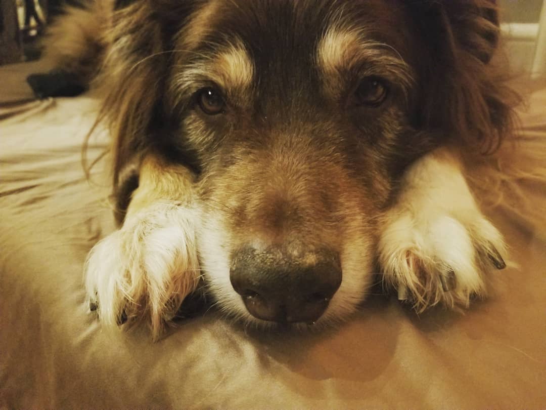 therealcliffyb's tweet image. Still miss you, buddy.