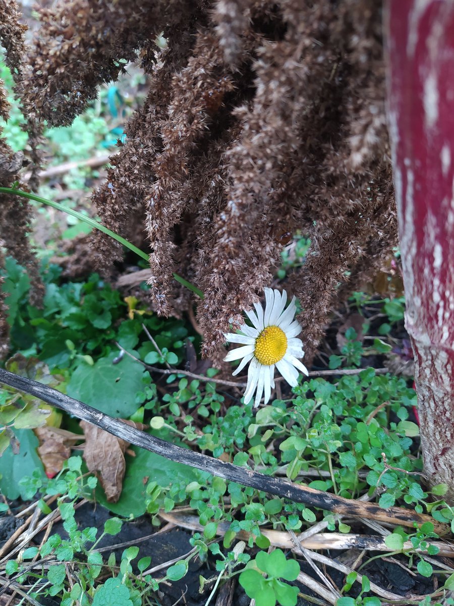 Важко!
ТИХОЇ НОЧІ! 🇺🇦🙏