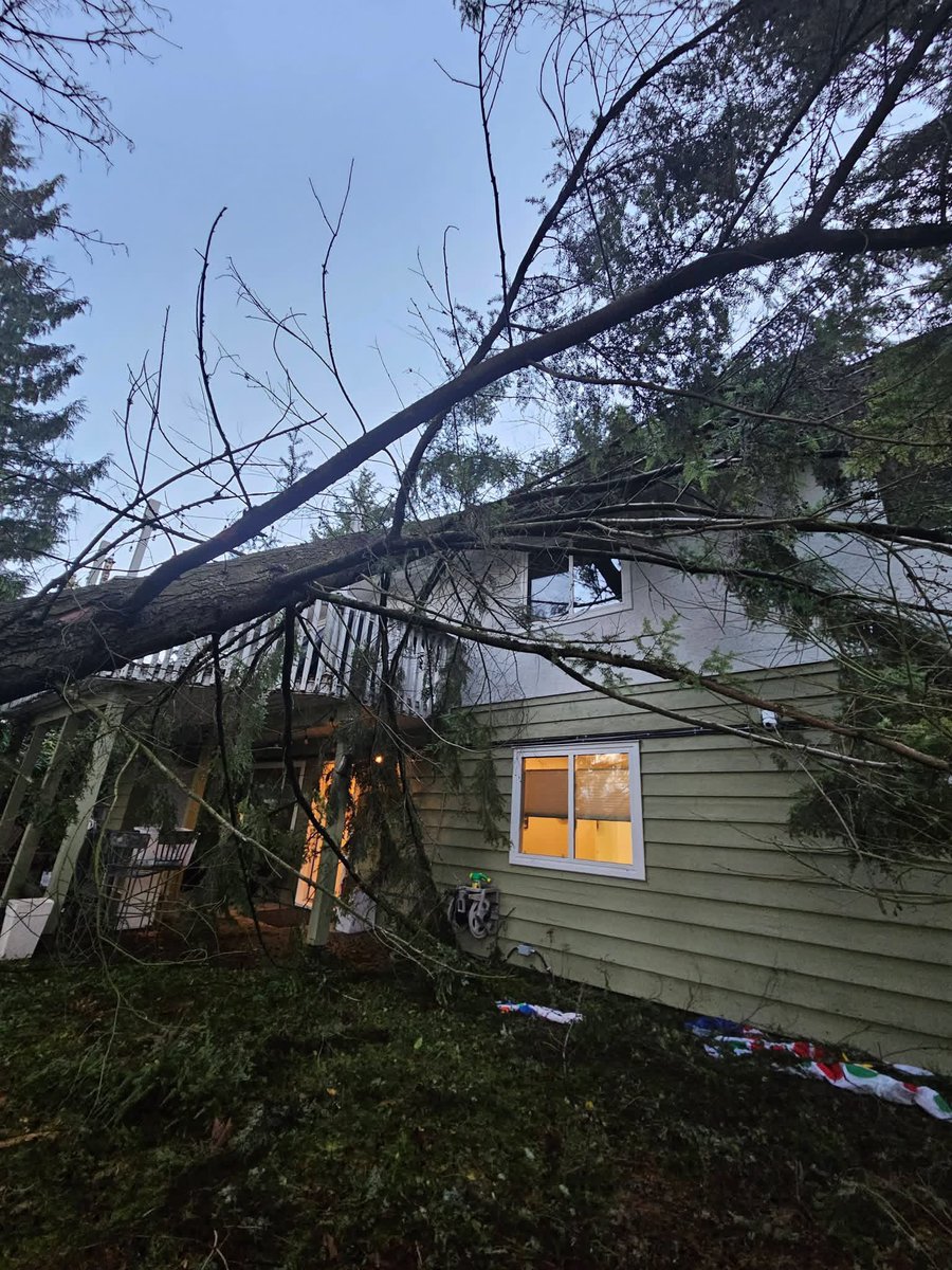 RyanVoutilainen's tweet image. While BC Hydro crews continue their cleanup, local homeowners in the BC Lower Mainland, inclg my friends, await their insurance adjuster as a large tree fell on their house overnight. Thankful they were unharmed.

H/T 📸: Anita &amp;amp; Kristina

#BCStorm #BCwind #BCwx #PortCoquitlam