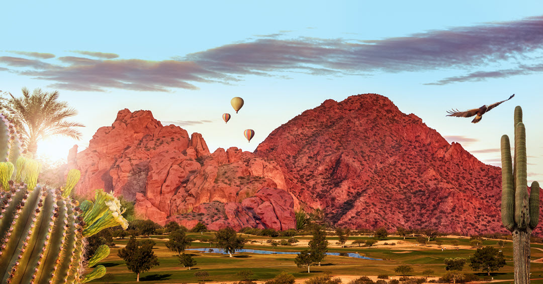 MendozaTeam's tweet photo. Bringing Home Results® in Arizona - https://t.co/NYXEo2XEeq https://t.co/ORjIG3oBlQ