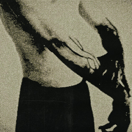 NEOS4INT's tweet image. 