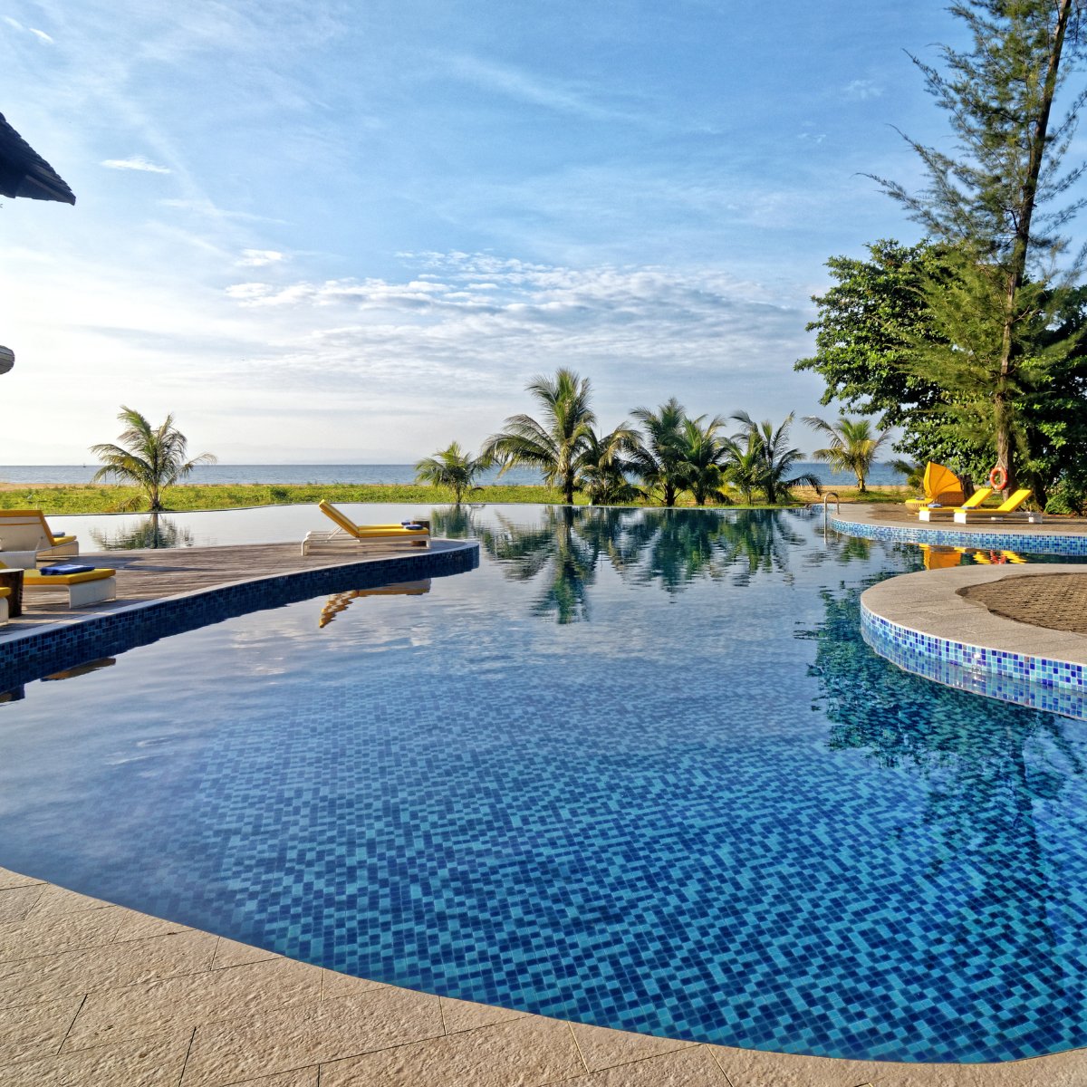 Stay Beyond Green tweet media