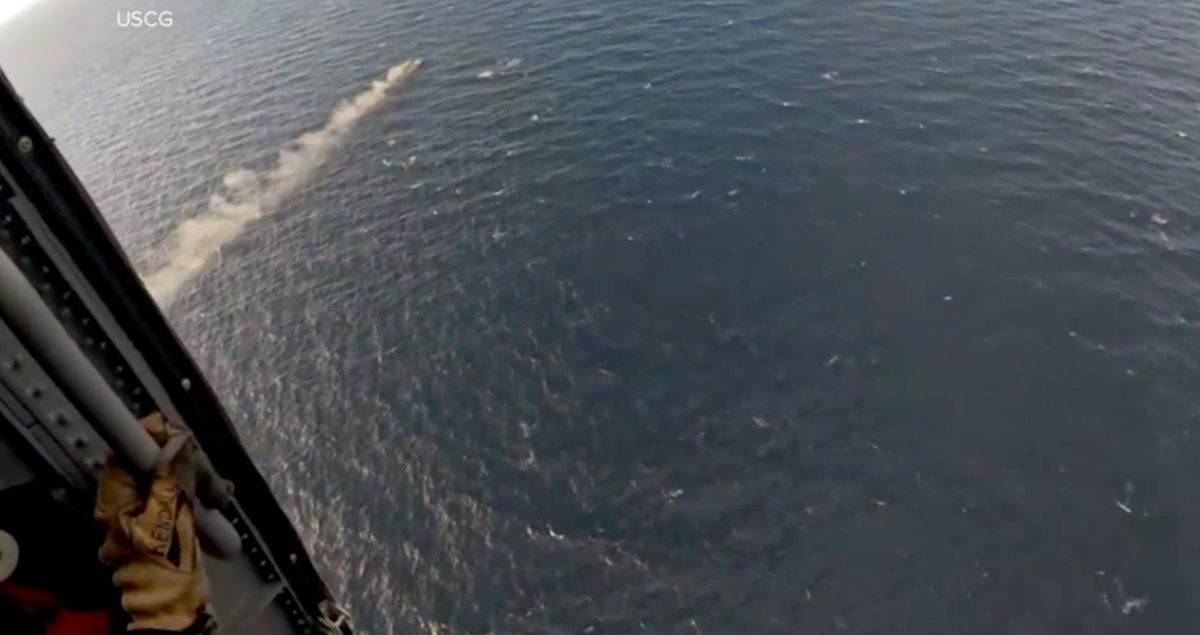 #SoundOfService ABC News (US): US Coast Guard crew rescues boater after fire - A US Coast Guard helicopter crew hoisted a fisher whose boat caught on fire Dec. 14 off the coast of Clearwater, Florida. 
.
.
.
👉 Link to the news: abcnews.go.com/WNT/video/us-c…