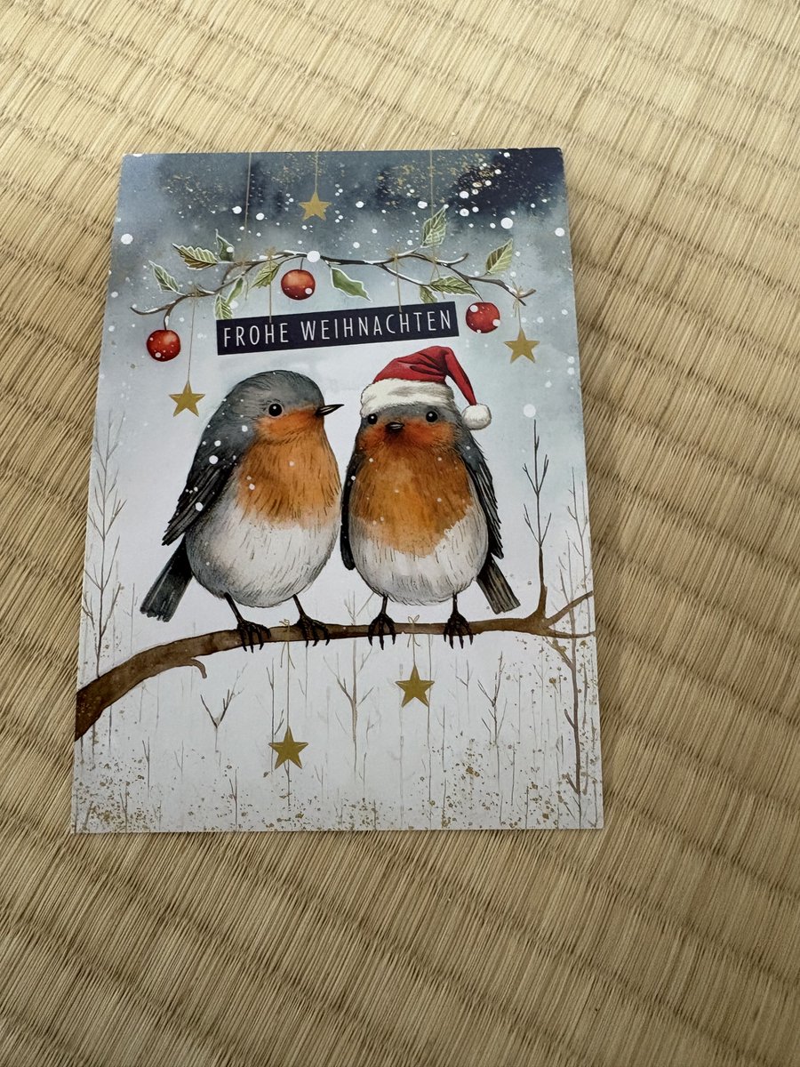 Auch bei uns zu Hause sind Weihnachtskarten angekommen, von meinen Freundinnen.🎄🎄🎄