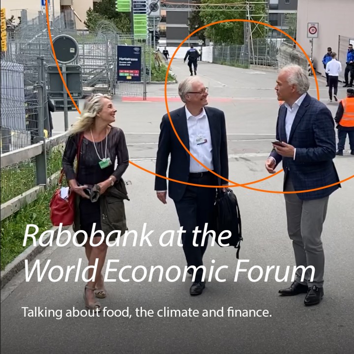 GEWOON ⚓️ MEREL tweet media