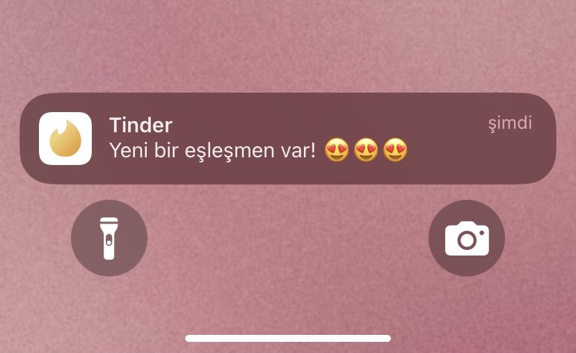 Zoltan 🐺 tweet media