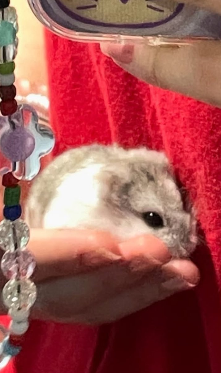 ela ⭐️ tweet media