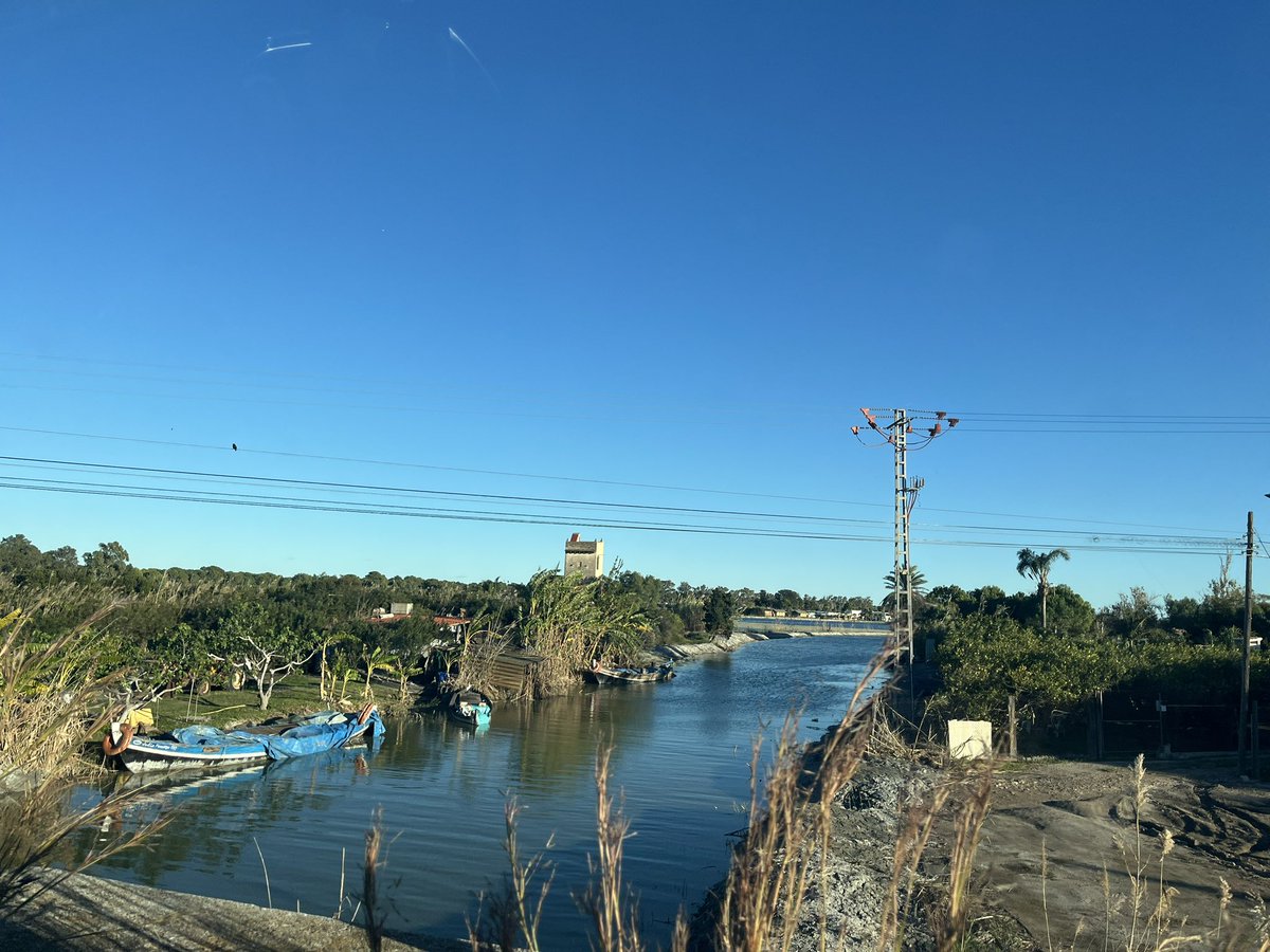 Lídia Penelo tweet media