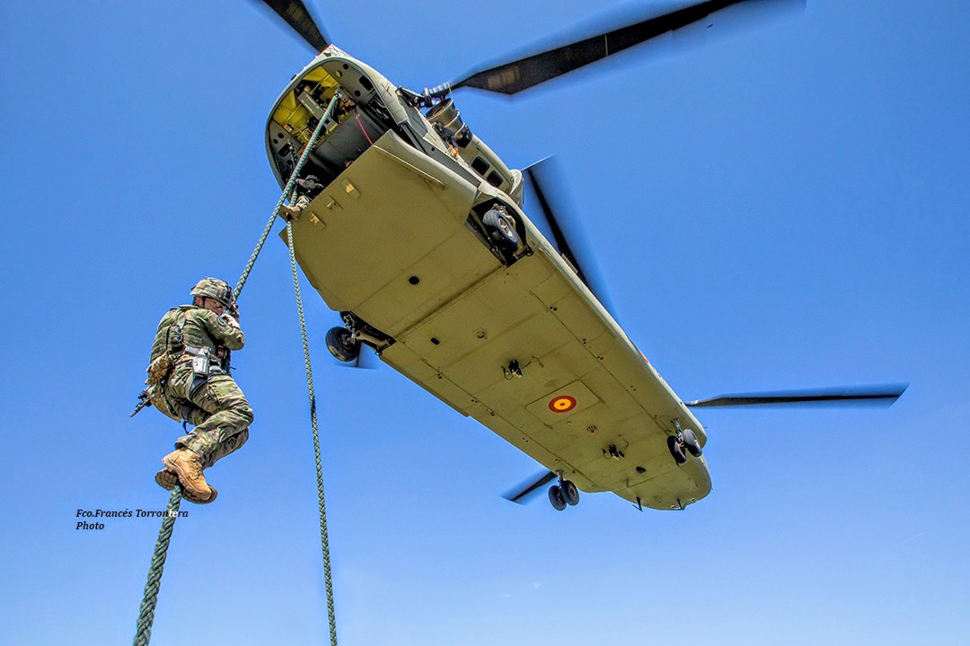 Fco.Francés Torrontera tweet media