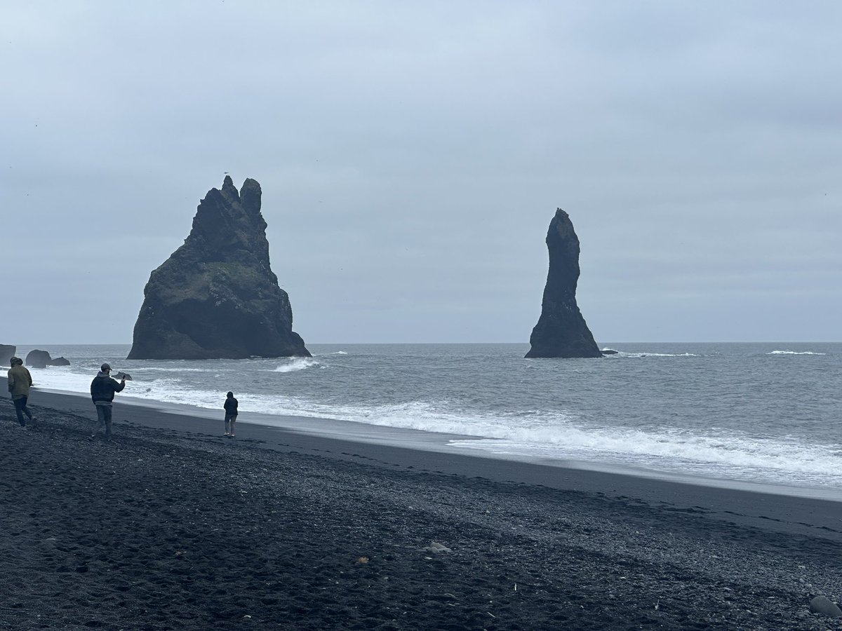 Жаворонков Эдгар tweet media