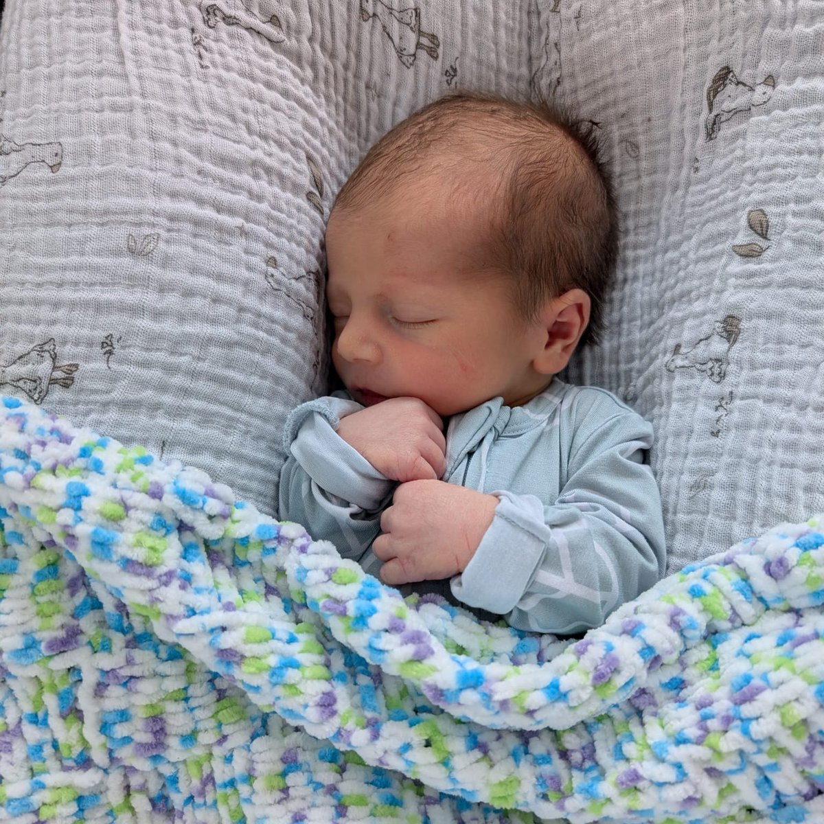 Anthony Petrielli tweet media