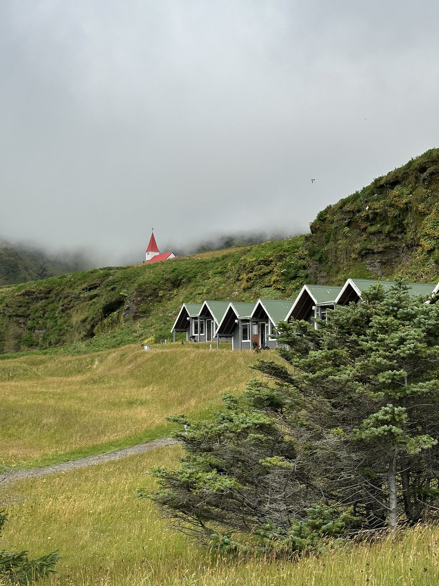 Жаворонков Эдгар tweet media