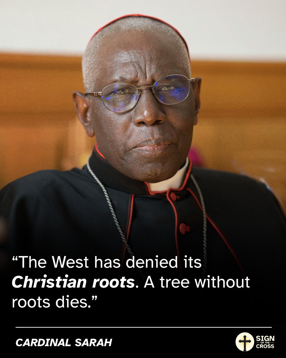 CatholicSOTC's tweet image. Cardinal Sarah: "The West has denied its Christian roots. A tree without roots dies."