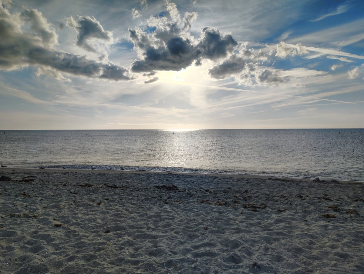 Tom Marchetti tweet media