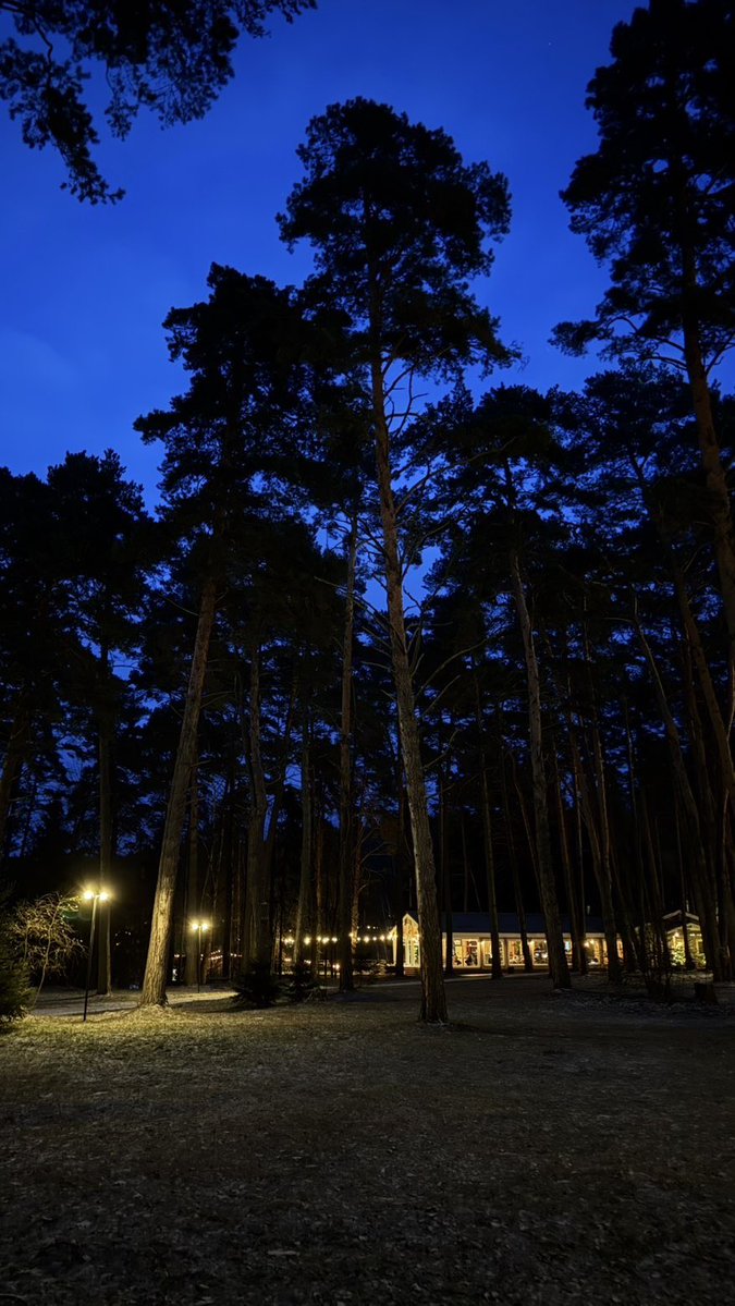 ayed_ri's tweet image. فدوتك قلبٍ على كل عرقٍ به تمون 
والطعون اللي من ايديك يسلم راسها 

فيك ماطعت السوالف وصدّقت الظنون 
سيرتك يحرم على خاطري دنّاسها 

من عرفتك والمحبه تحت فيّ الغصون 
جعل مايزعل مطرها .. على نسناسها