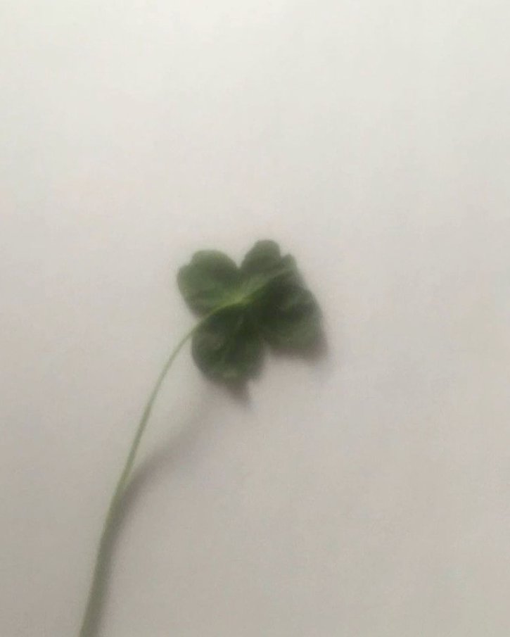 GeospatialSte4's tweet image. おはよ〜今日もがんばろ リフレッシュしたい。お出かけ楽しみ。ゆっくりする日 😊 🥤