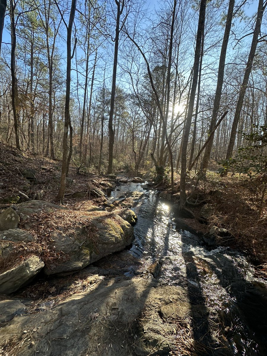 how can u not fall in love with this