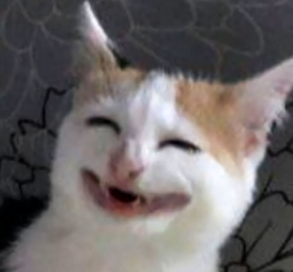 Valeria & Camila☀️ tweet media