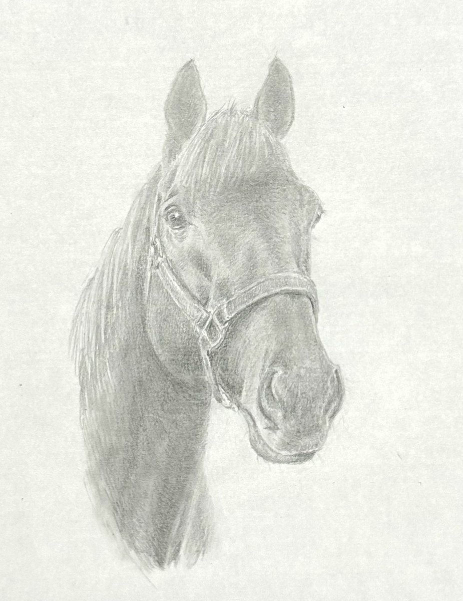 meishosirius (@meishosirius) / Posts / X