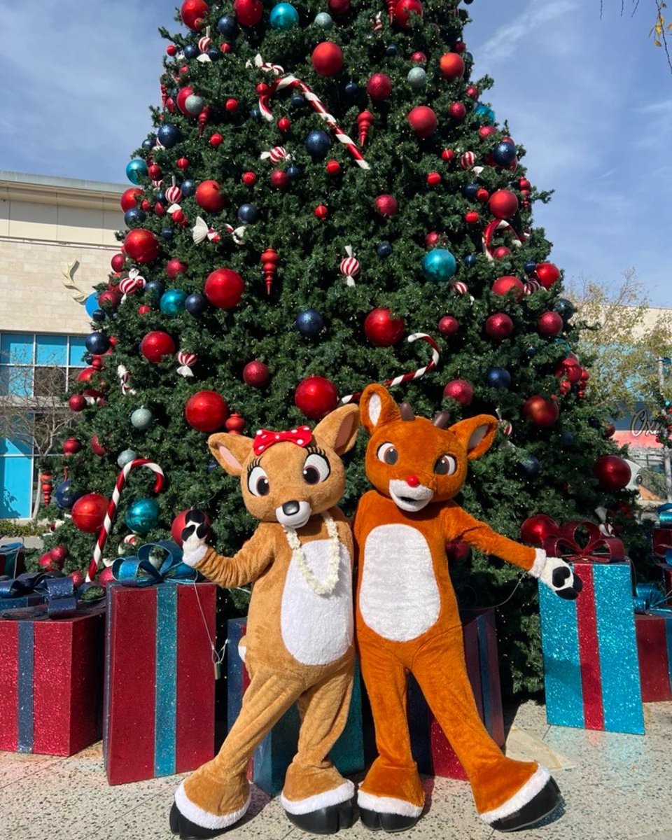 Last chance to see the reindeer at The Collection! 🦌 

Less than one week away. On Sunday, December 21st, catch our festive holiday characters on foot, snap a selfie, and share the magic! ✨ Don’t forget to tag us and use #LifeatTCRP to spread the holiday cheer.