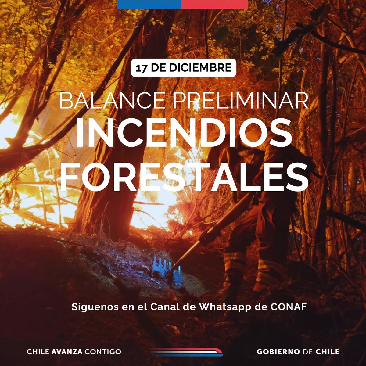 conaf_minagri's tweet photo. 🔴#BALANCE | Hasta las 18:00 horas | Situación de los principales incendios forestales que se mantienen en combate en el país: 

▶️Región de Ñuble. Incendio El Quillay, en Chillán Viejo: con 100 hectáreas afectadas.
📌Recursos trabajando: 3 brigadas, 2 técnicos, 2 aviones cisterna, 1 helicóptero, 2 camiones cisterna y 1 maquinaria pesada de #CONAF
🔴 Alerta roja comunal. 

▶️ Región del Biobío. Incendio Colonia Santa Fe, comuna de Los Ángeles: con 104 hectáreas afectadas.
📌Se mantienen trabajando los recursos indicados en el reporte anterior.
🔴 Alerta roja comunal. 

▶️Región de Valparaíso. Incendio Bucalemito, en Santo Domingo: con 320 hectáreas afectadas.
📌Recursos trabajando: 12 técnicos, 11 brigadas, 1 avión cisterna, 1 helicóptero, 3 camiones cisterna y 3 maquinaria pesada de #CONAF; 3 helicópteros gestionados por Senapred y 5 compañías de Bomberos.
🔴Alerta roja comunal. 

▶️Región Metropolitana. Incendio Quilamuta, en San Pedro: con 2.321 hectáreas afectadas.
📌Se mantienen trabajando los recursos indicados en el reporte anterior.
🔴Alerta roja comunal. 

🔷Las superficies de afectación indicadas en cada incendio son preliminares, por lo que pueden variar en los balances. 

✅ Nueva actualización aproximadamente a las 20:30 horas.