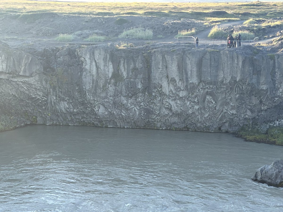 Жаворонков Эдгар tweet media