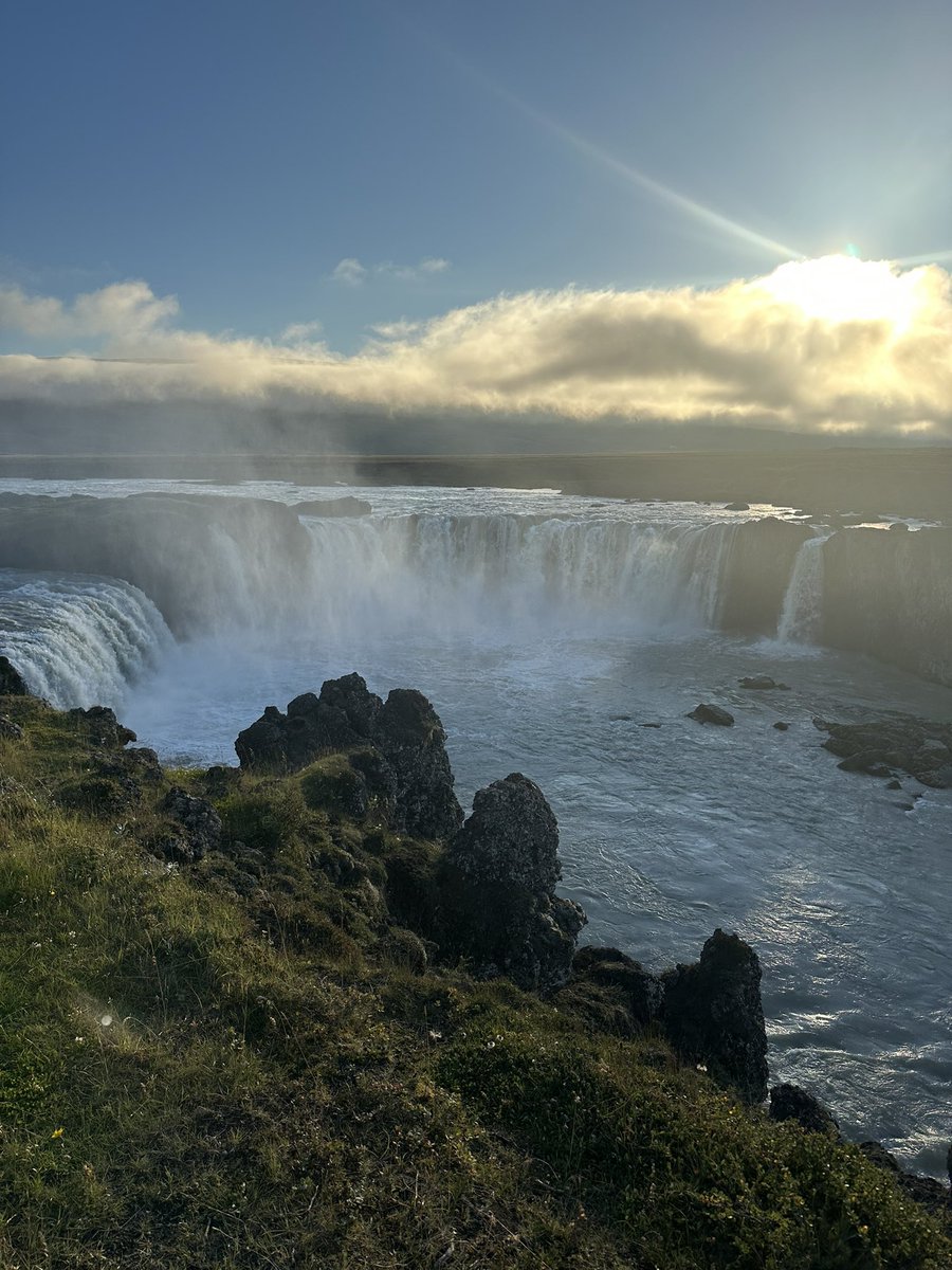 Жаворонков Эдгар tweet media