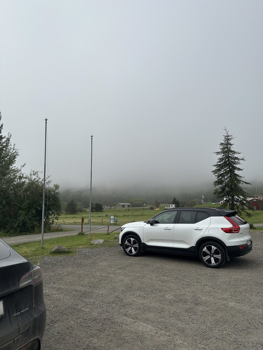 Жаворонков Эдгар tweet media