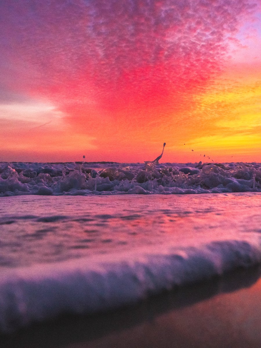 Eric Rubens tweet media