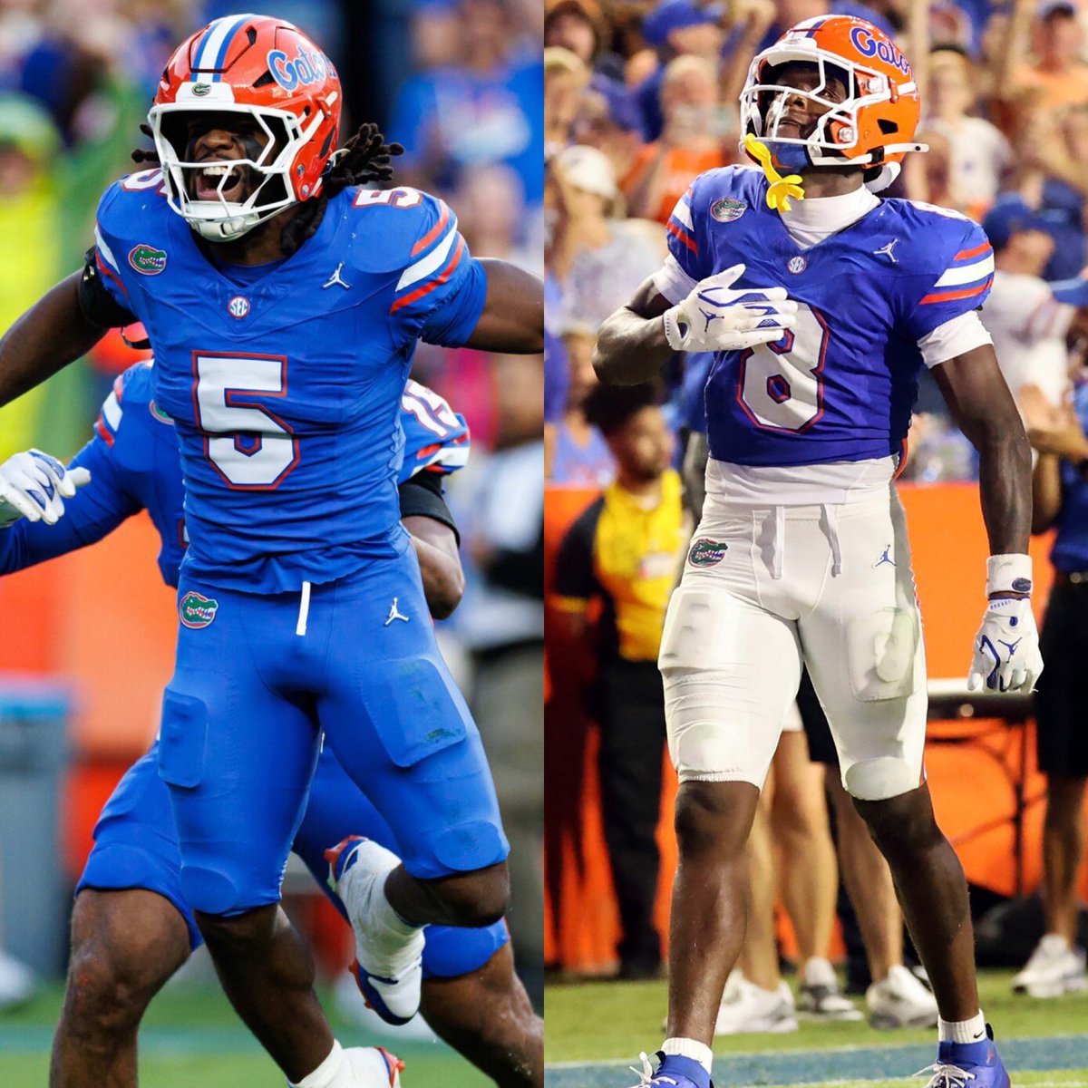 gatorsszn's tweet image. Definition of Loyalty 🐊