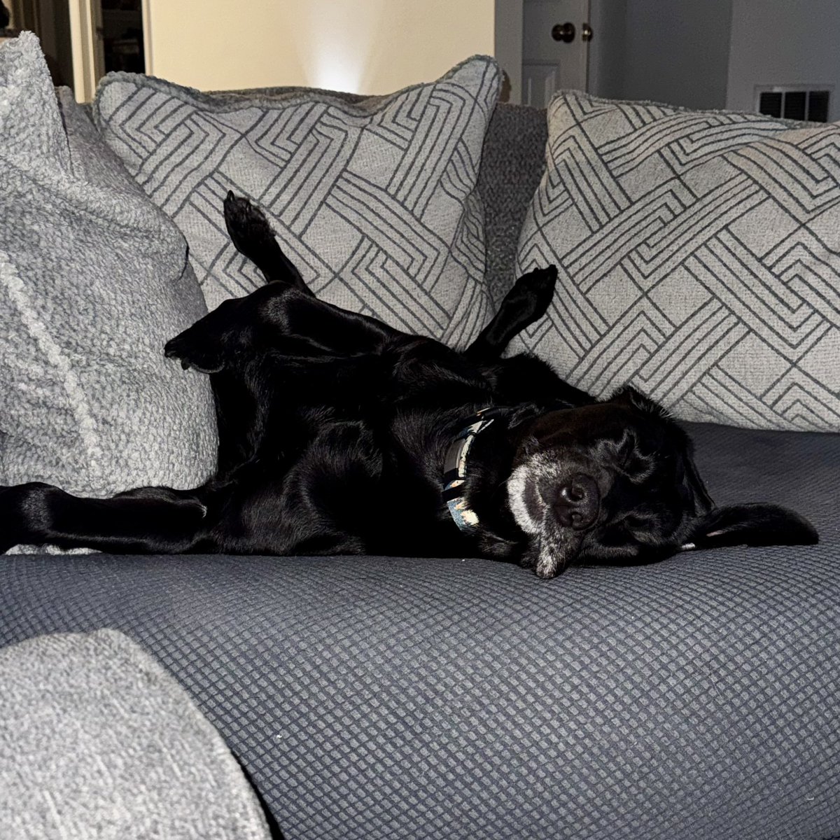 John Wixted tweet media