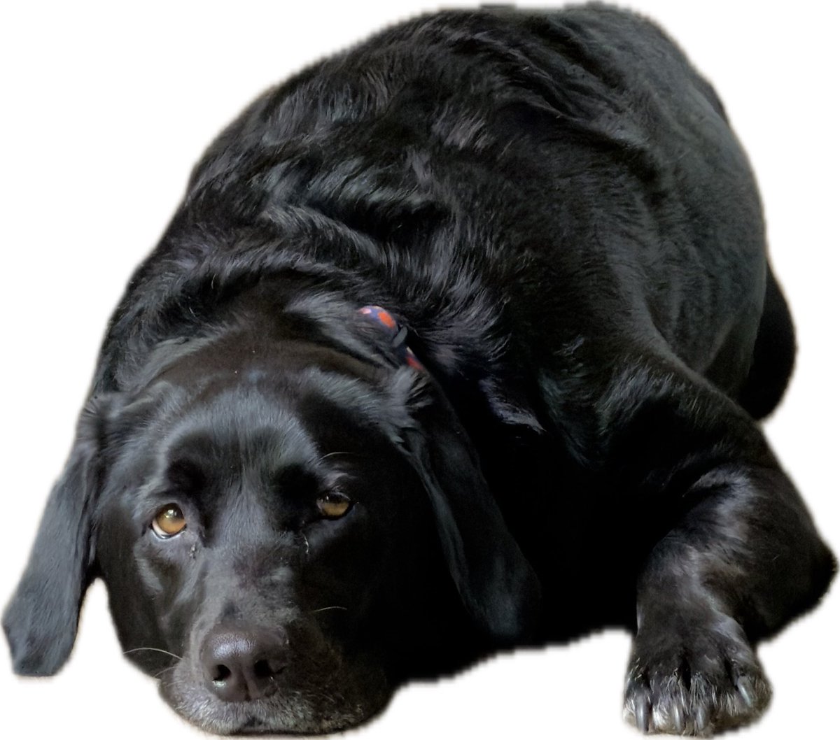 John Wixted tweet media