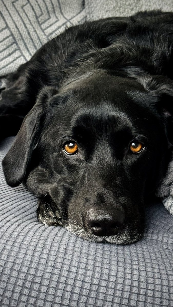 John Wixted tweet media