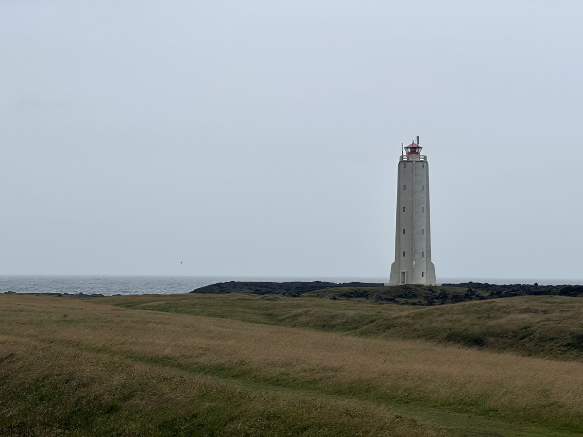 Жаворонков Эдгар tweet media