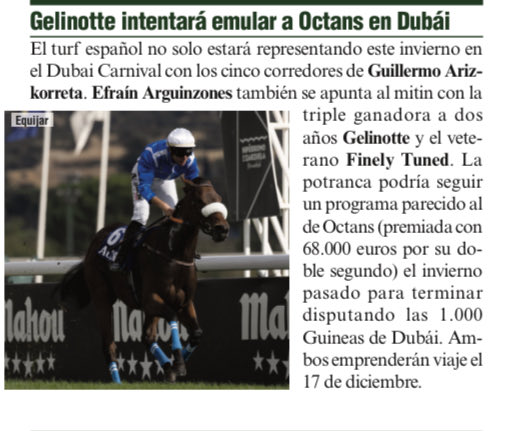 Desde el primer día “hipismo 🤝