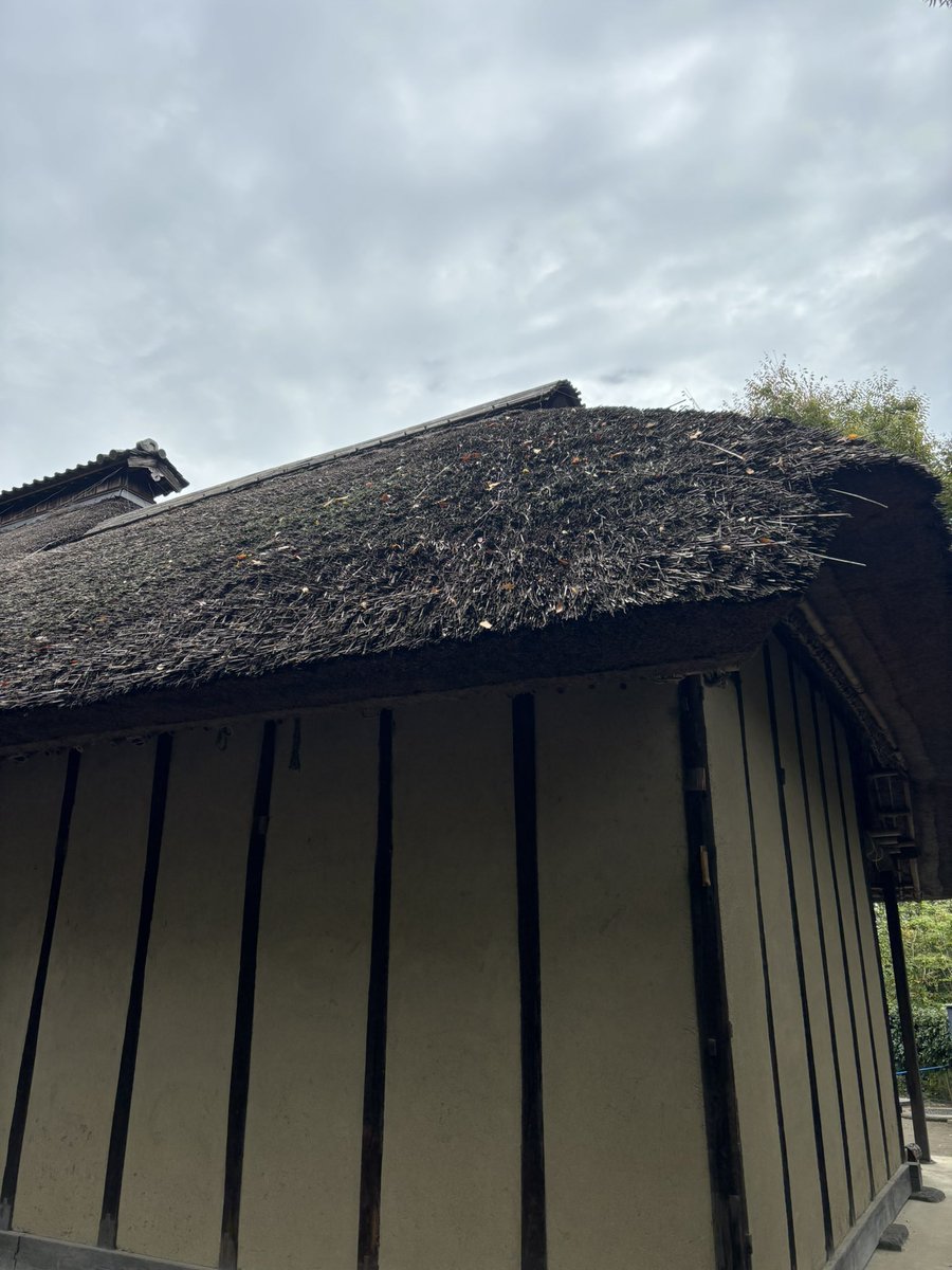 オルカ (@orukaorcat) / Posts / X